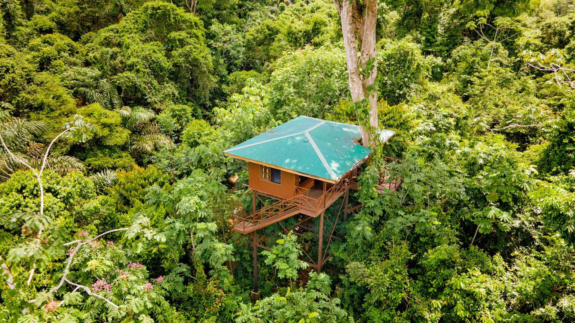Maquenque Ecolodge Boca Tapada Exterior photo